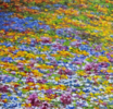 El Campo de Flores Silvestres . | Pintura de Anastasia Woron | Compra arte en Flecha.es