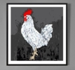 Gallus Mysticus (61x61cm) | Dibujo de ALEJOS | Compra arte en Flecha.es