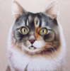 El Gato. El Gato Pelirojo. | Pintura de Anastasia Woron | Compra arte en Flecha.es