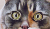 El Gato. El Gato Pelirojo. | Pintura de Anastasia Woron | Compra arte en Flecha.es