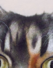 El Gato. El Gato Pelirojo. | Pintura de Anastasia Woron | Compra arte en Flecha.es