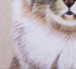 El Gato. El Gato Pelirojo. | Pintura de Anastasia Woron | Compra arte en Flecha.es