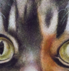 El Gato. El Gato Pelirojo. | Pintura de Anastasia Woron | Compra arte en Flecha.es