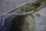 Words & Waters I | Collage de Celia Kettle | Compra arte en Flecha.es