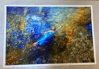 Mermaid in Ibiza VI | Fotografía de Viet Ha Tran | Compra arte en Flecha.es