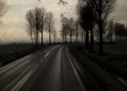 Icy Road I | Fotografía de Ana Sanz Llorens | Compra arte en Flecha.es